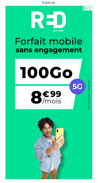 Exemple campagne Display
